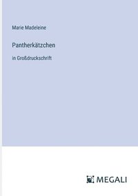 bokomslag Pantherktzchen