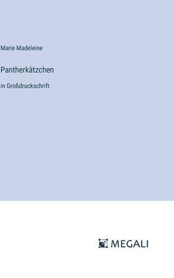 bokomslag Pantherktzchen