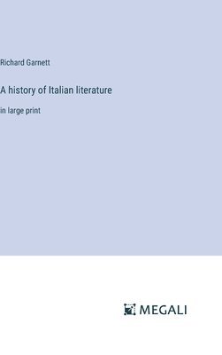 bokomslag A history of Italian literature