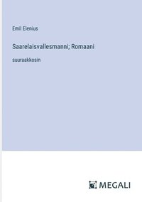 bokomslag Saarelaisvallesmanni; Romaani