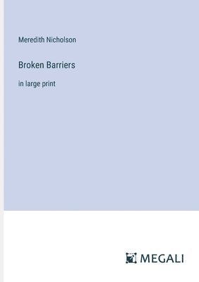 bokomslag Broken Barriers