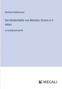 bokomslag Die Wiedertäufer von Münster; Drama in 5 Akten: in Großdruckschrift