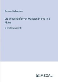 bokomslag Wiedertäufer von Münster; Drama in 5 Akten