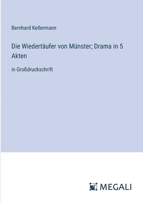 bokomslag Die Wiedertufer von Mnster; Drama in 5 Akten