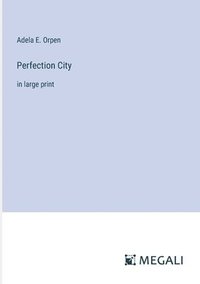 bokomslag Perfection City