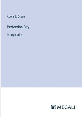 bokomslag Perfection City