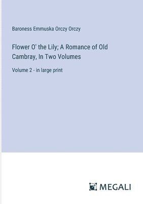 bokomslag Flower O' the Lily; A Romance of Old Cambray, In Two Volumes