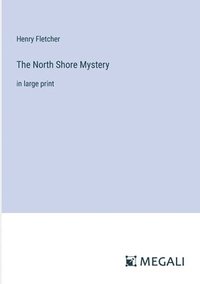 bokomslag North Shore Mystery