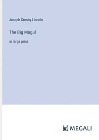 bokomslag Big Mogul