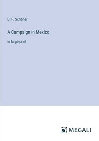 bokomslag A Campaign in Mexico