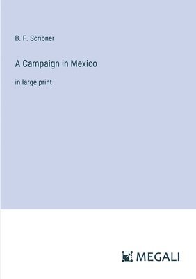 bokomslag A Campaign in Mexico