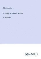 bokomslag Through Bolshevik Russia