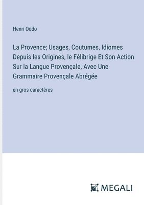 bokomslag La Provence; Usages, Coutumes, Idiomes Depuis les Origines, le Flibrige Et Son Action Sur la Langue Provenale, Avec Une Grammaire Provenale Abrge