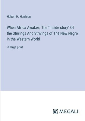 bokomslag When Africa Awakes; The "inside story" Of the Stirrings And Strivings of The New Negro in the Western World