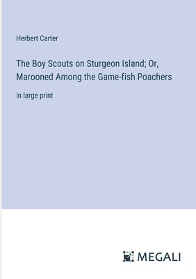 bokomslag The Boy Scouts on Sturgeon Island; Or, Marooned Among the Game-fish Poachers