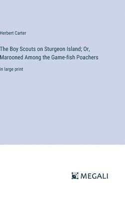 bokomslag Boy Scouts on Sturgeon Island; Or, Marooned Among the Game-fish Poachers