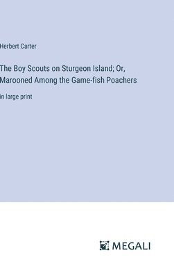 bokomslag The Boy Scouts on Sturgeon Island; Or, Marooned Among the Game-fish Poachers