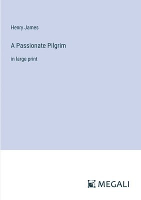 bokomslag Passionate Pilgrim