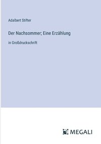 bokomslag Der Nachsommer; Eine Erzählung: in Großdruckschrift