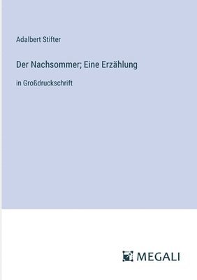 bokomslag Nachsommer; Eine Erzählung