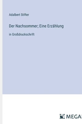 bokomslag Nachsommer; Eine Erzählung