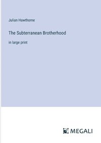 bokomslag Subterranean Brotherhood