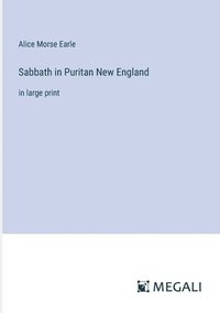 bokomslag Sabbath in Puritan New England