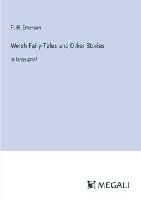 bokomslag Welsh Fairy-Tales and Other Stories