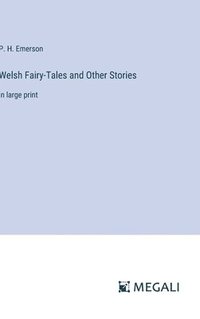 bokomslag Welsh Fairy-Tales and Other Stories