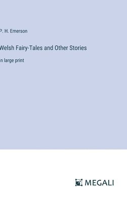 bokomslag Welsh Fairy-Tales and Other Stories