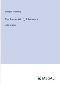 bokomslag The Amber Witch; A Romance