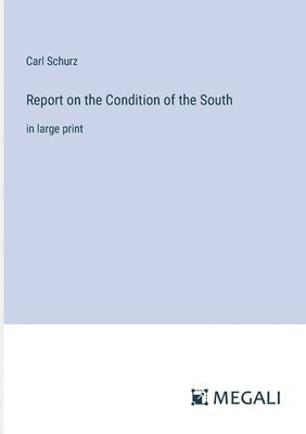 Report on the Condition of the South
