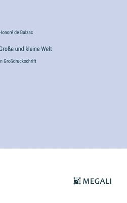bokomslag Große und kleine Welt