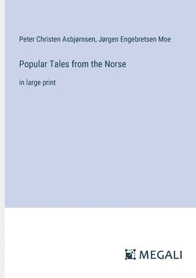 bokomslag Popular Tales from the Norse