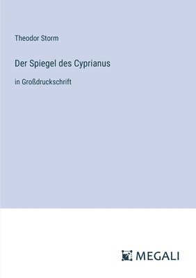 bokomslag Der Spiegel des Cyprianus
