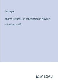 bokomslag Andrea Delfin; Eine venezianische Novelle