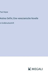 bokomslag Andrea Delfin; Eine venezianische Novelle