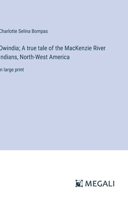bokomslag Owindia; A true tale of the MacKenzie River Indians, North-West America