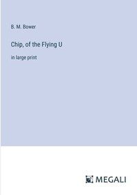 bokomslag Chip, of the Flying U