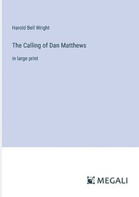 bokomslag The Calling of Dan Matthews