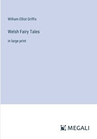 bokomslag Welsh Fairy Tales