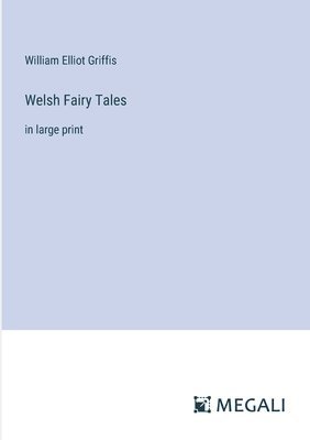 bokomslag Welsh Fairy Tales