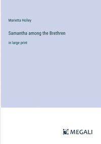 bokomslag Samantha among the Brethren