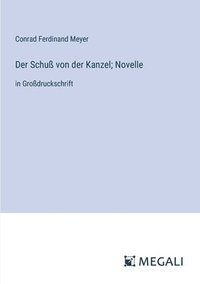 bokomslag Der Schu von der Kanzel; Novelle