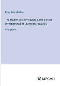 bokomslag The Master Detective; Being Some Further Investigations of Christopher Quarles