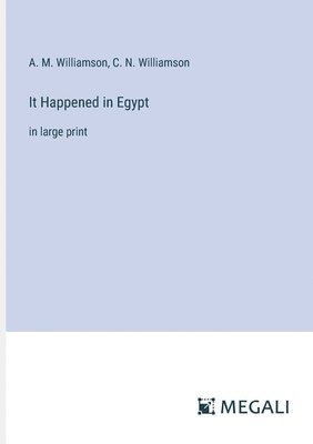 bokomslag It Happened in Egypt