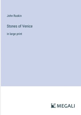 bokomslag Stones of Venice