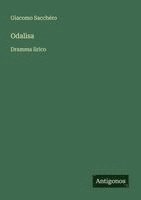 bokomslag Odalisa