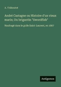 bokomslag André Castagne ou Histoire d'un vieux marin; Du brigantin "Swordfish"