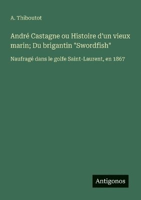 bokomslag André Castagne ou Histoire d'un vieux marin; Du brigantin "Swordfish"